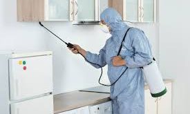 شركة مكافحة حشرات بالخبر